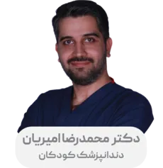 محمد رضا امیریان - 