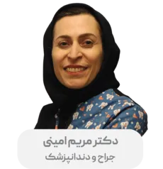 مریم امینی - 